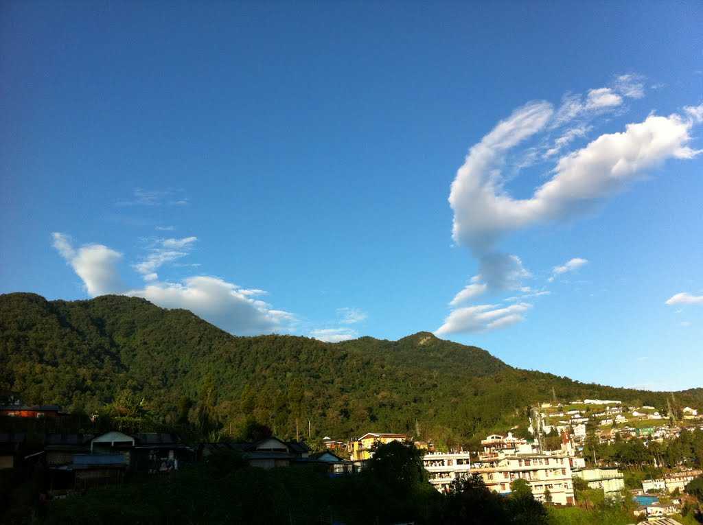 Kohima